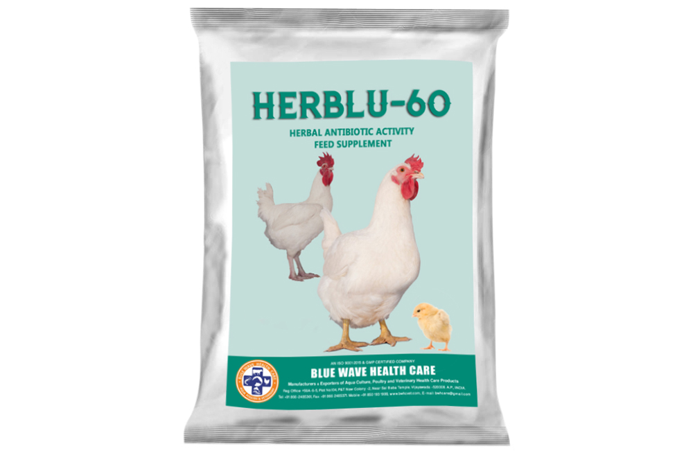 HERBLU-60 (Herbal antibiotic activity feed supplement)